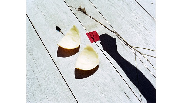 The Bomb (Also) Is a Flower, from the series As a Real House by Sarah Palmer