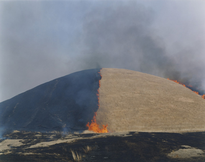 Ametsuchi: Opening Reception with Rinko Kawauchi