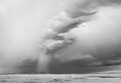 Mitch Dobrowner at ArtPalmBeach